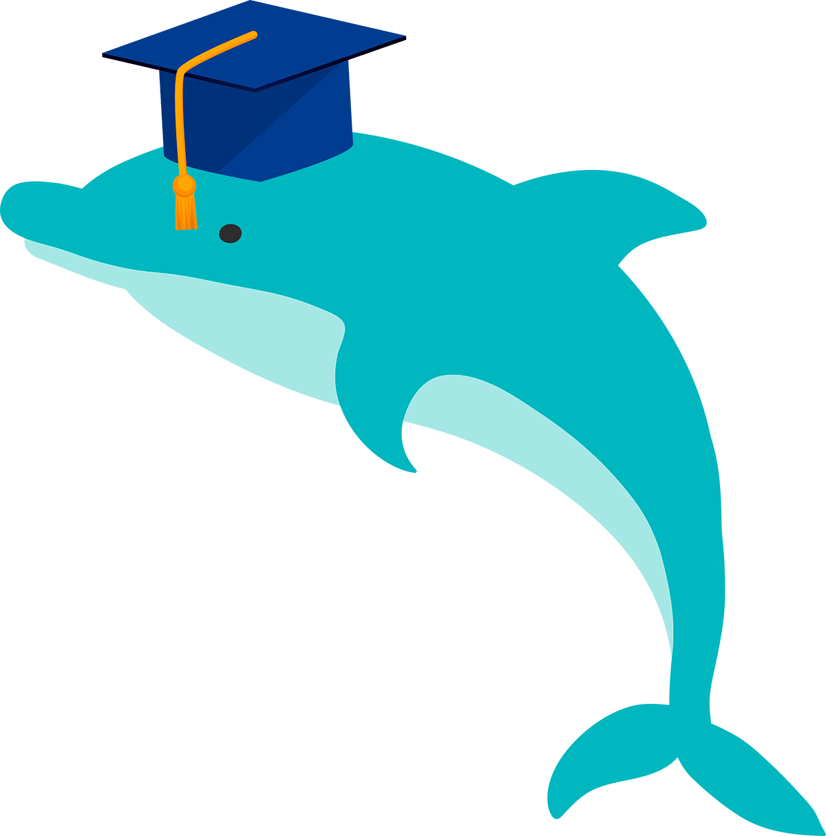 dolphin sm min Вопросы и ответы,часто задаваемые вопросы,IQup